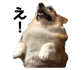 324833408