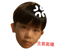 32486024