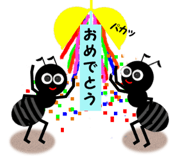 3248935
