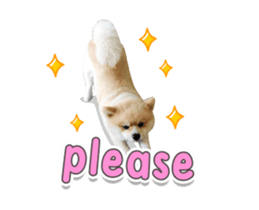 324931355