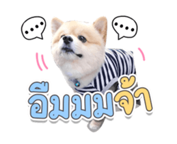324931360