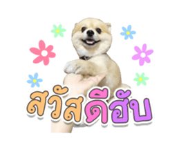 324931372