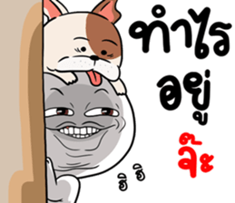 324947297