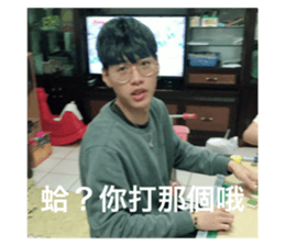 324981115