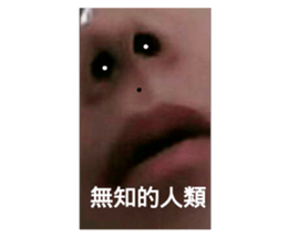 32503357