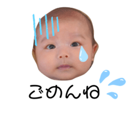 325051840