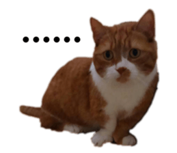 325054784