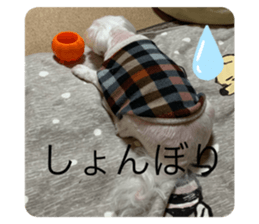 325055064