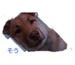 325055277
