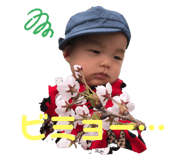 325143662