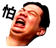 325145153