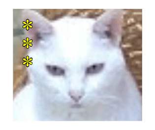 325188669