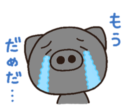 3253017