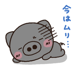 3253020