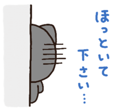 3253021