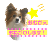 325327887