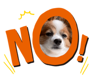 325327891