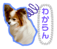 325327894