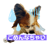 325327895