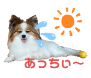 325327897