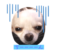 325335069