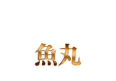 325341040