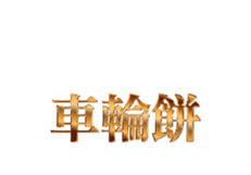 325341055