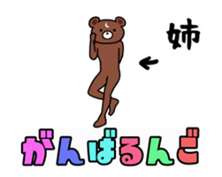 32537320