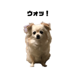 325387970