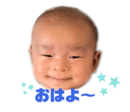 325480562