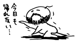 3255117