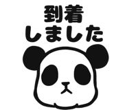 32554428