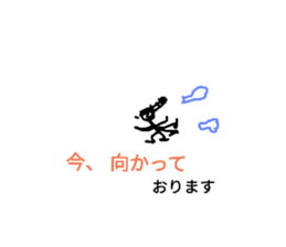32555719