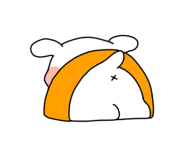325569061