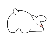 325569075