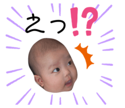 325579394