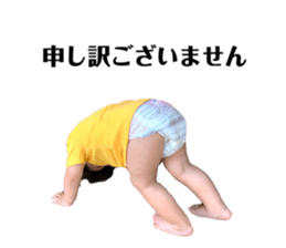325586011