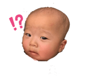 325595257