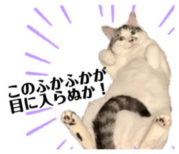 325626456