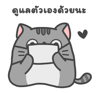 แมวสลิด ดุ๊กดิ๊ก 2 รูปที่ 4