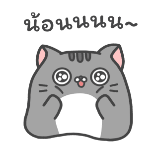 แมวสลิด ดุ๊กดิ๊ก 2 รูปที่ 5