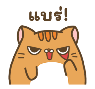 แมวสลิด ดุ๊กดิ๊ก 2 รูปที่ 14