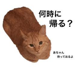 325635726