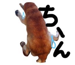 325644984