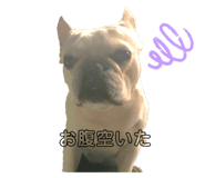 325649926
