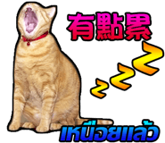 32565886