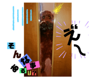325660577
