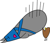 3257427