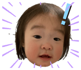 325743541