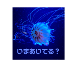 325748693